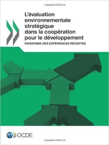 L'Evaluation Environnementale Strategique Dans La Cooperation Pour Le Developpement: Panorama Des Experiences Recentes