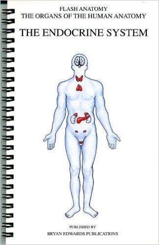Flash Anatomy Organs of the Human Anatomy: The Endocrine System Chart
