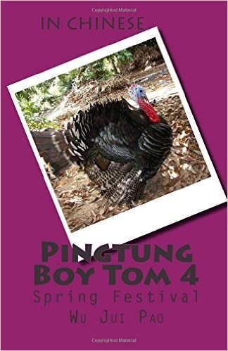 Pingtung Boy Tom 4: Spring Festival