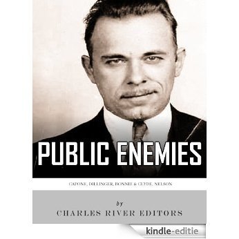 Public Enemies: Al Capone, John Dillinger, Bonnie & Clyde, and Baby Face Nelson (English Edition) [Kindle-editie]