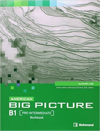 American Big Picture B1. Workbook