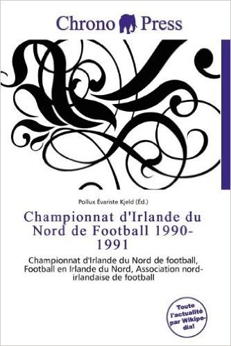 Championnat D'Irlande Du Nord de Football 1990-1991