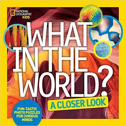 What in the World: A Closer Look: Fun-Tastic Photo Puzzles for Curious Minds