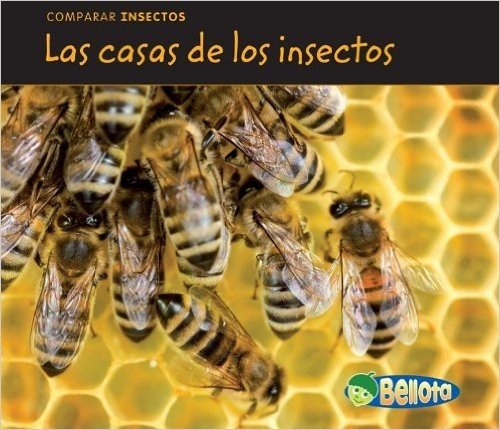 Las Casas de los Insectos = Bug Homes