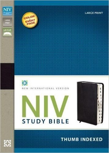 Study Bible-NIV-Large Print baixar