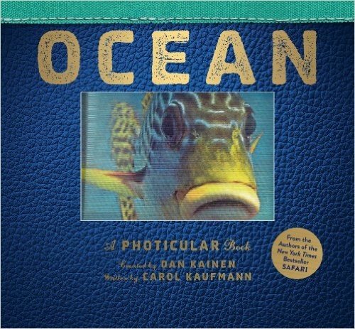 Ocean: A Photicular Book baixar