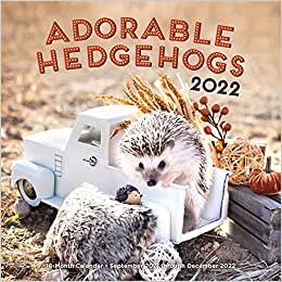 indir Adorable Hedgehogs 2022: 16-Month Calendar - September 2021 through December 2022