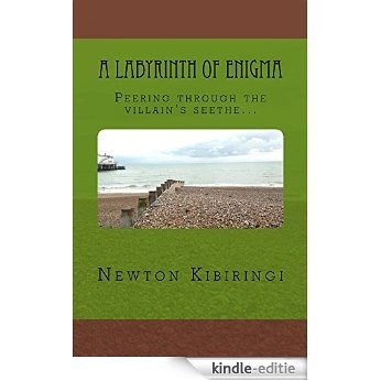 A Labyrinth of Enigma!: Peering through the villain's seethe. (Unravelling Life's Questions. Book 1) (English Edition) [Kindle-editie]