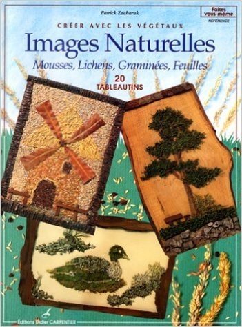 Images naturelles : Mousses, lichens, graminées, feuilles, créer avec les végétaux, 20 tableautins
