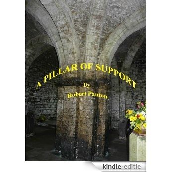 From Nurse to a Community Support Worker-A Pillar of Support (English Edition) [Kindle-editie]