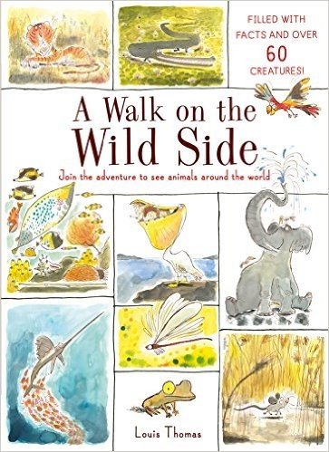 A Walk on the Wild Side: Filled with Facts and Over 50 Creatures
