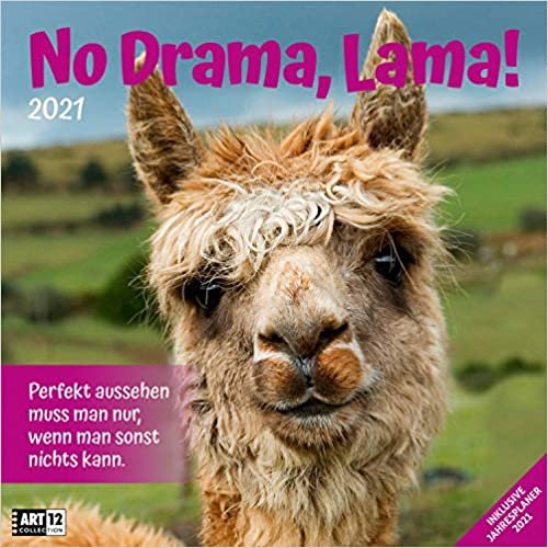 No Drama, Lama! 2021