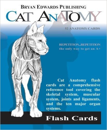 Cat Anatomy Flash Cards