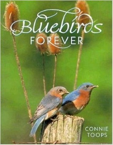 Bluebirds Forever