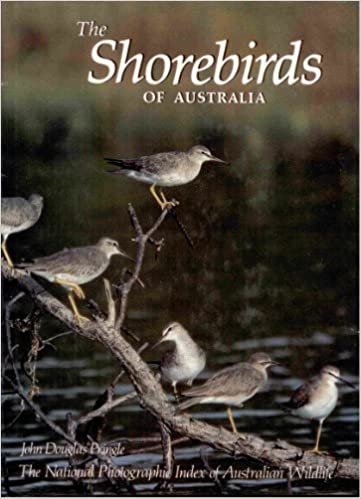 Shore Birds of Australia