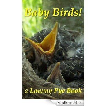 Baby Birds (English Edition) [Kindle-editie]