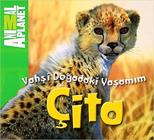 Vahşi Doğadaki Yaşamım - Çita: Animal Planet