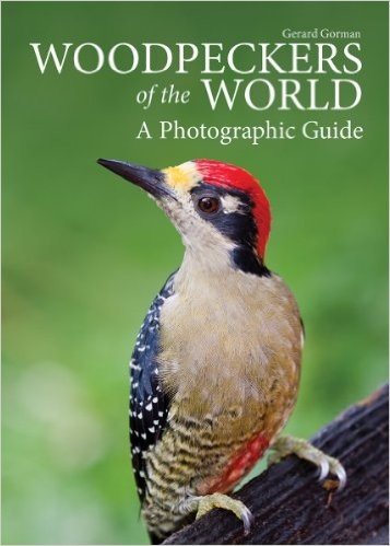 Woodpeckers of the World: A Photographic Guide baixar