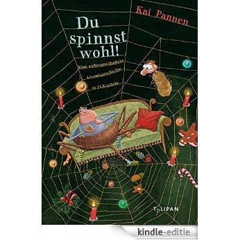 Du spinnst wohl!: Eine außergewöhnliche Adventsgeschichte in 24 Kapiteln (Kinderroman) (German Edition) [Kindle-editie]