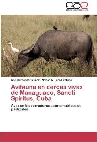 Avifauna En Cercas Vivas de Managuaco, Sancti Spiritus, Cuba