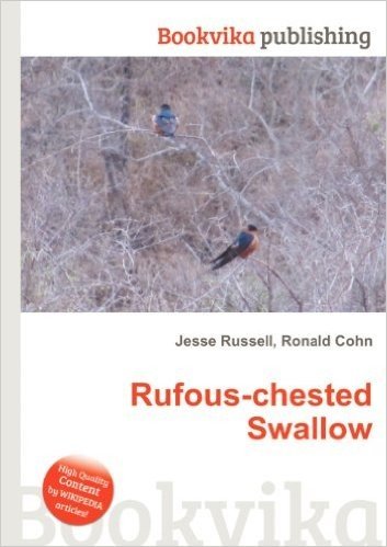 Rufous-Chested Swallow