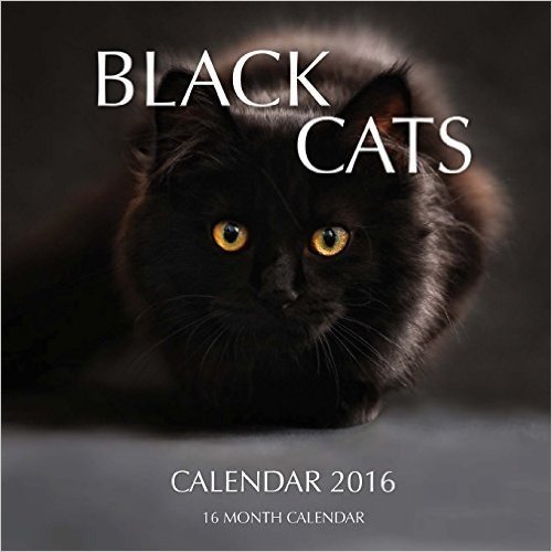 Black Cats Calendar 2016: 16 Month Calendar