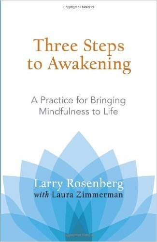 Three Steps to Awakening: A Practice for Bringing Mindfulness to Life baixar