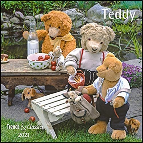 Teddy 2021 - Broschürenkalender - Wandkalender - mit herausnehmbarem Poster - Format 30 x 30 cm