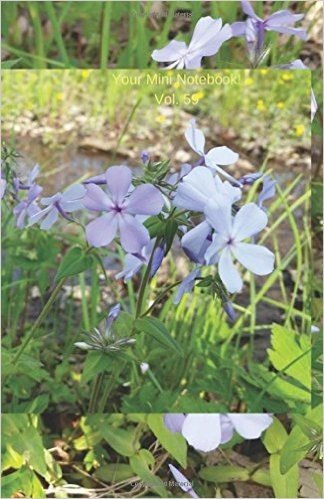 Your Mini Notebook! Vol. 59: Wild Phlox Greetings from the Forest Floor
