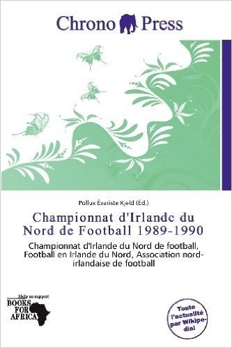 Championnat D'Irlande Du Nord de Football 1989-1990