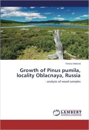 Growth of Pinus Pumila, Locality Oblacnaya, Russia