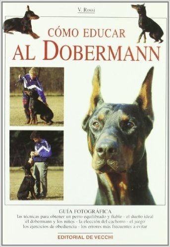 Como Educar Al Dobermann