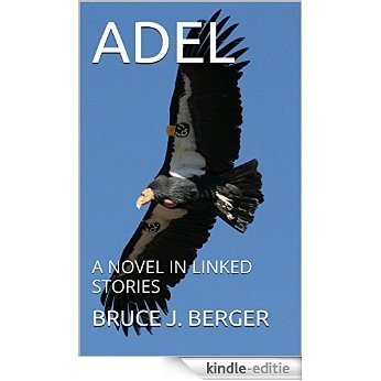ADEL: A NOVEL IN LINKED STORIES (Nate & Adel) (English Edition) [Kindle-editie]