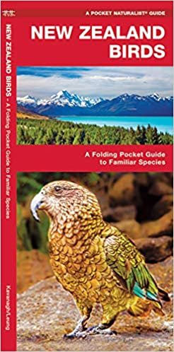 New Zealand Birds: A Folding Pocket Guide to Familiar Species (A Pocket Naturalist Guide)