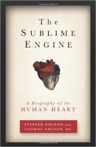 The Sublime Engine