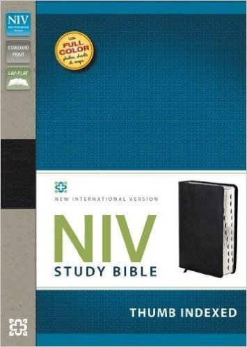 Study Bible-NIV baixar