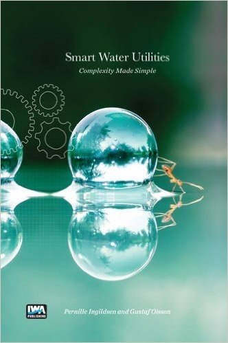 Smart Water Utilities: Complexity Made Simple