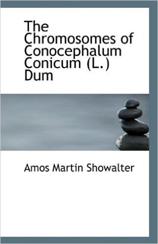 The Chromosomes of Conocephalum Conicum (L.) Dum