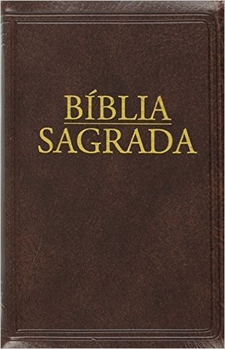 Bíblia Sagrada. Nova Tradução na Linguagem de Hoje