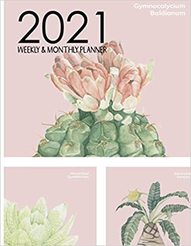 indir 2021 Weekly &amp; Monthly Planner: 2021 Personalized Planner, Januray - December 2021 Weekly ,Monthly Planner ,Federal Holidays and Inspirational Quotes,Weekly Goal,Habit Tracker,Todo List ,Cactus Cover