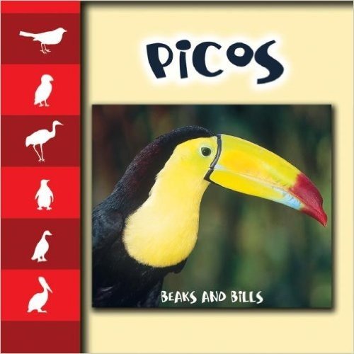Picos/Beaks and Bills