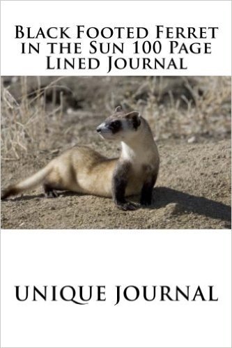 Black Footed Ferret in the Sun 100 Page Lined Journal: Blank 100 Page Lined Journal for Your Thoughts, Ideas, and Inspiration