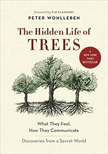 indir The Hidden Life of Trees: What They Feel, How They Communicate-Discoveries from a Secret World (The Mysteries of Nature)