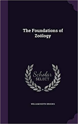 indir The Foundations of Zoology