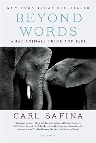 Beyond Words: What Animals Think and Feel baixar