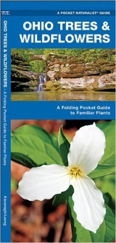 Ohio Trees & Wildflowers: An Introduction to Familiar Species