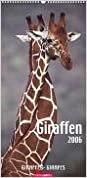 Giraffen 2006.
