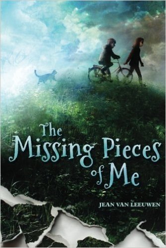 The Missing Pieces of Me