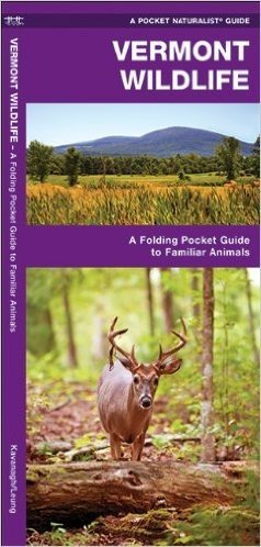 Vermont Wildlife: An Introduction to Familiar Species