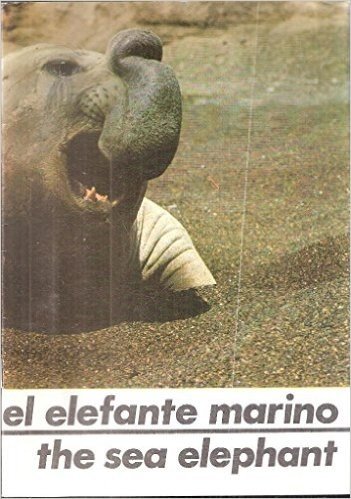EL ELEFANTE MARINO - THE SEA ELEPHANT